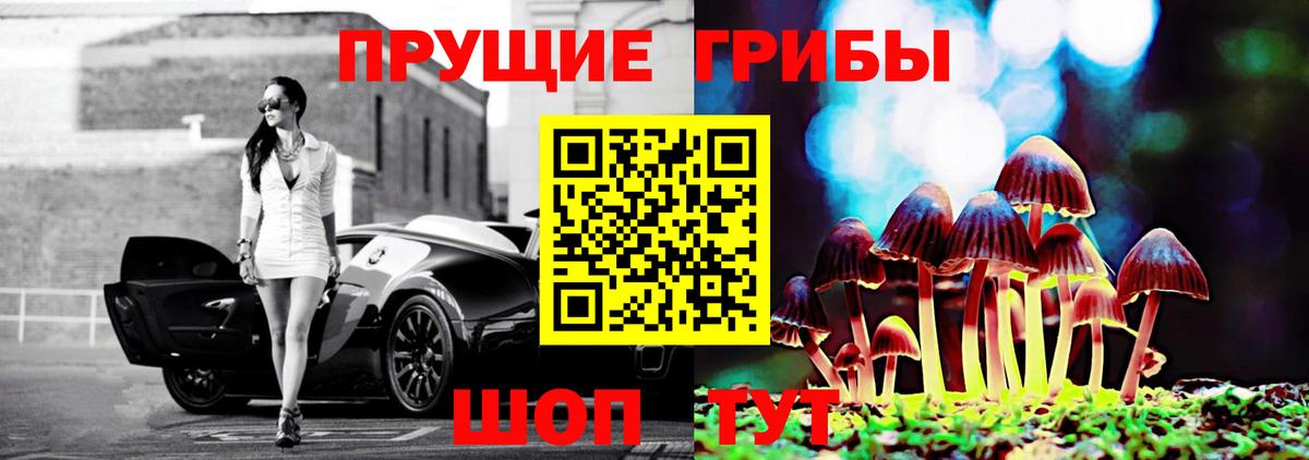 Галлюциногенные грибы Psilocybe Клин